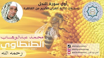 قران كريم تلاوة الشيخ محمد عبدالوهاب الطنطاوي النحل| Sheikh Abdul Wahab Tantawi Surah An-Nahl