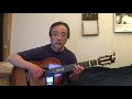 The boxer fingerstyle guitar