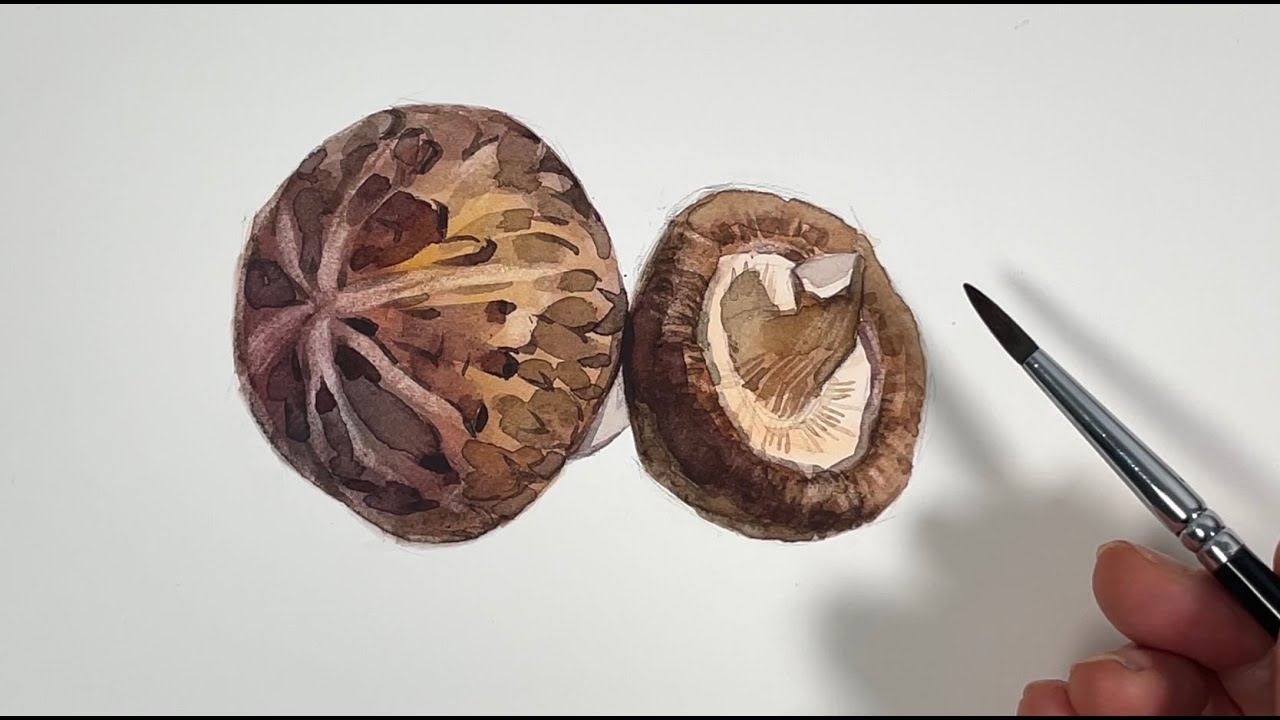Watercolor Sketch 92 / Shiitake Mushrooms 水彩スケッチ92