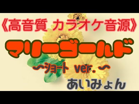 《カラオケ音源》高音質／マリーゴールド／ショートバージョン／あいみょん
