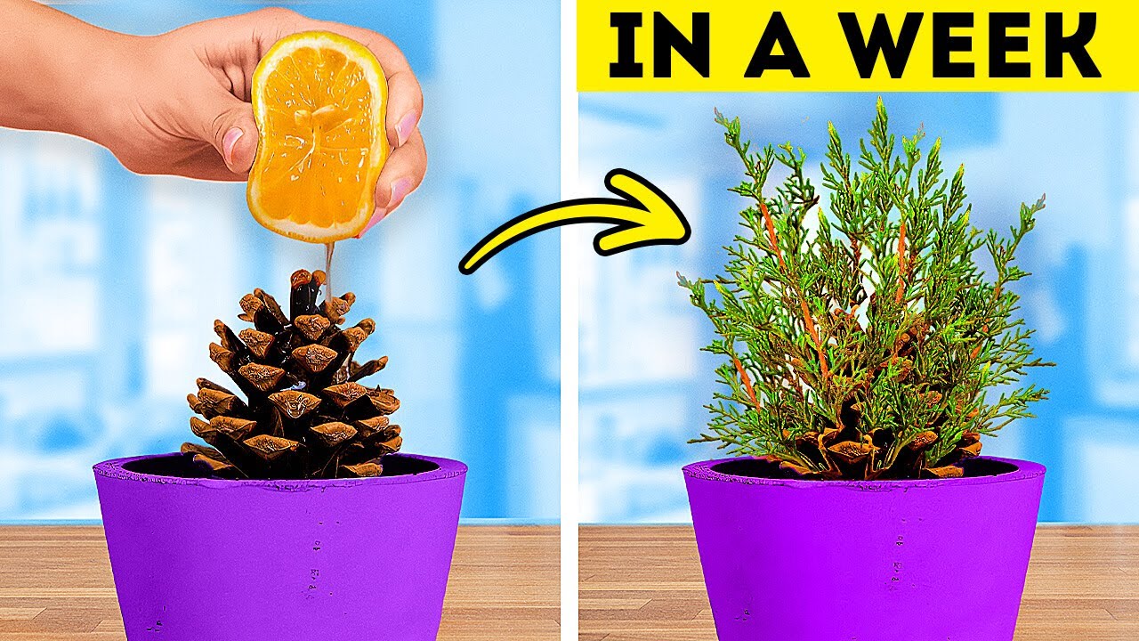 101 Genius Gardening Hacks to Transform Your Green Space 🌿 - YouTube