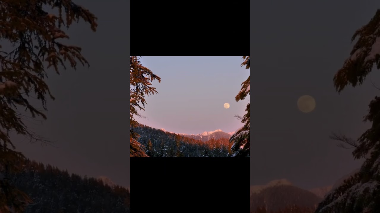 #freelancingbangladesh