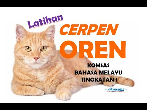 Bm Tingkatan 1 Cerpen Oren Latihan Youtube