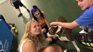 A paw-some student organization
