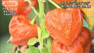 浅草寺の「ほおずき市」　掛け声や風鈴で夏の風情(2023年7月9日)