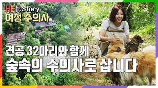 [방송 하이라이트] 서른 두 마리 견공과 숲속에서 사는 수의사, 시골 개를 생각하다 (KBS 20220618 방송)