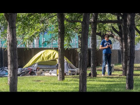 Video: Naujojo reglamento dėka, daug lengviau valgyti šunys Albany