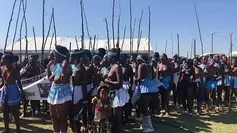 Mpondo Reed Dance 2022