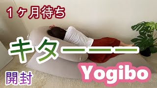 【Yogibo】ヨギボー使った感じはどう？開封動画。人をダメにするソファー。