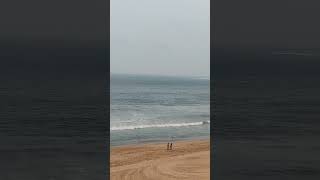 Beach view  Telugu Wild Life Travel