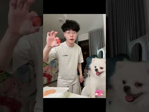 Ai vayy??cre tiktok:Truongdatne #like |YummyNef #xh