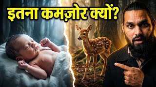 इंसानी बच्चा इतना कमज़ोर क्यों पैदा होता है? | Human Evolution Documentary | Anthro Flux