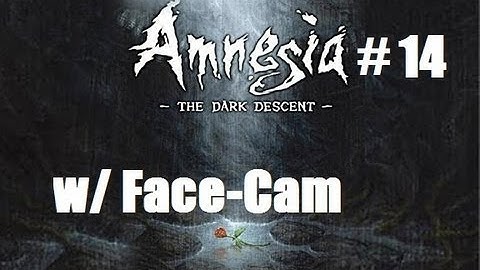 Amnesia The Dark Descent w/ Face-Cam part 14: Great...the morgue