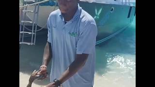 Opening a conch in Turks and Caicos Island Vibe Tour