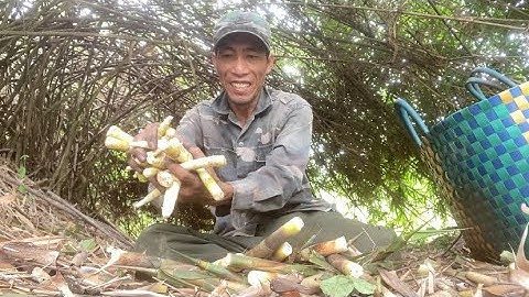 Quá Chừng Măng Le Rừng Rồi, Trúng Mánh 