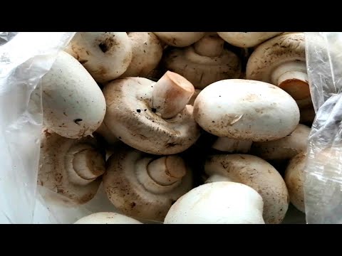 Видео: 6 способов приготовить маринованный перец