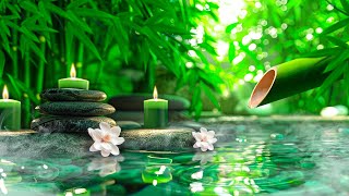 Beautiful Piano Music 🌿 Bamboo, Relaxing Music, Nature Sounds, Relieves Stress Music, Calming music