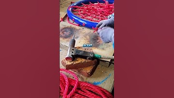 What is just a placebo effect but most people don