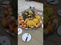 Https Www Youtube Com D8 A7 D8 AD D9 85 D8 AF D8 A7 D8 AD D9 85 D8 AF D9 8A9 D9 886 D8 B1 
