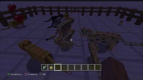 Minecraft how to tame a ocelot tutorial guide child friendly *Little Minecart TV*