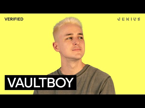 vaultboy “everything sucks” Official Lyrics & Meaning 