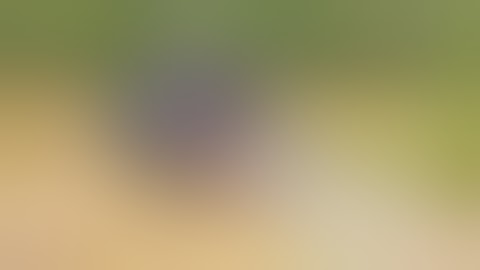 Ultimate Fails Compilation 2016  Part 1 December 2016    FailArmy