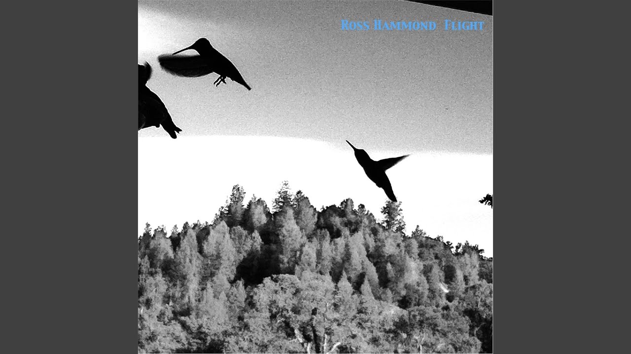 Womuts! auf YouTube ansehen Womuts! auf YouTube ansehen