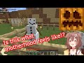 Korone builds a snowman, it breaks free【Hololive/Eng Sub】【Minecraft】