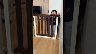 一瞬で突破されるベビーゲート#shorts