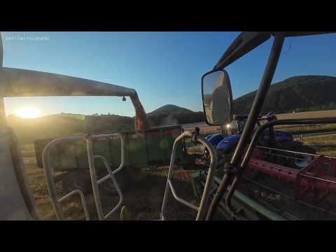 POV Claas Lexion 550 HARVEST and Driving Between Fields at the Terchová Agricultural Cooperative