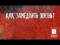 Как замедлить жизнь? Как маме все успеть - замедлители и ускорители времени - Екатерина Бурмистрова