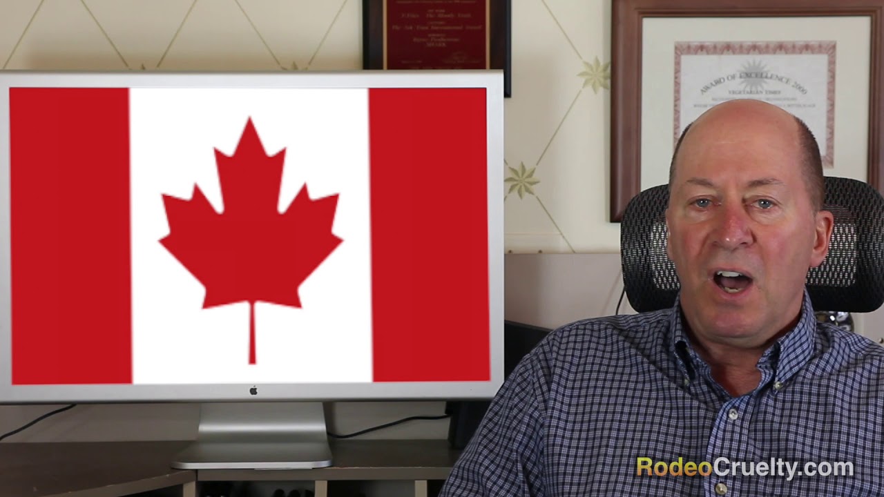 expose noun SHARK Teams with Canadians to Expose Illegality of Rodeo