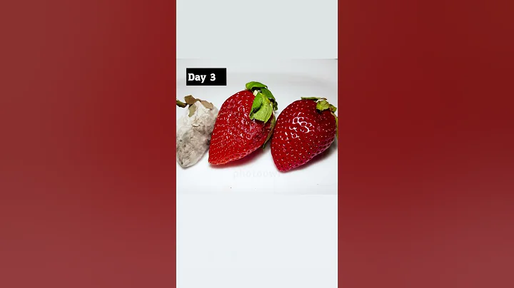 Letting my pet mold spread over to some strawberries