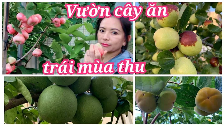 Vn cy n tri ma thu  Melbourne-Austra...  | Fruits ...