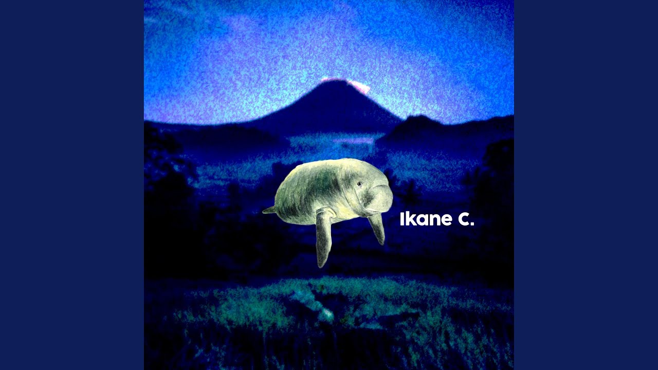 Watch Manatees on YouTube Watch Manatees on YouTube