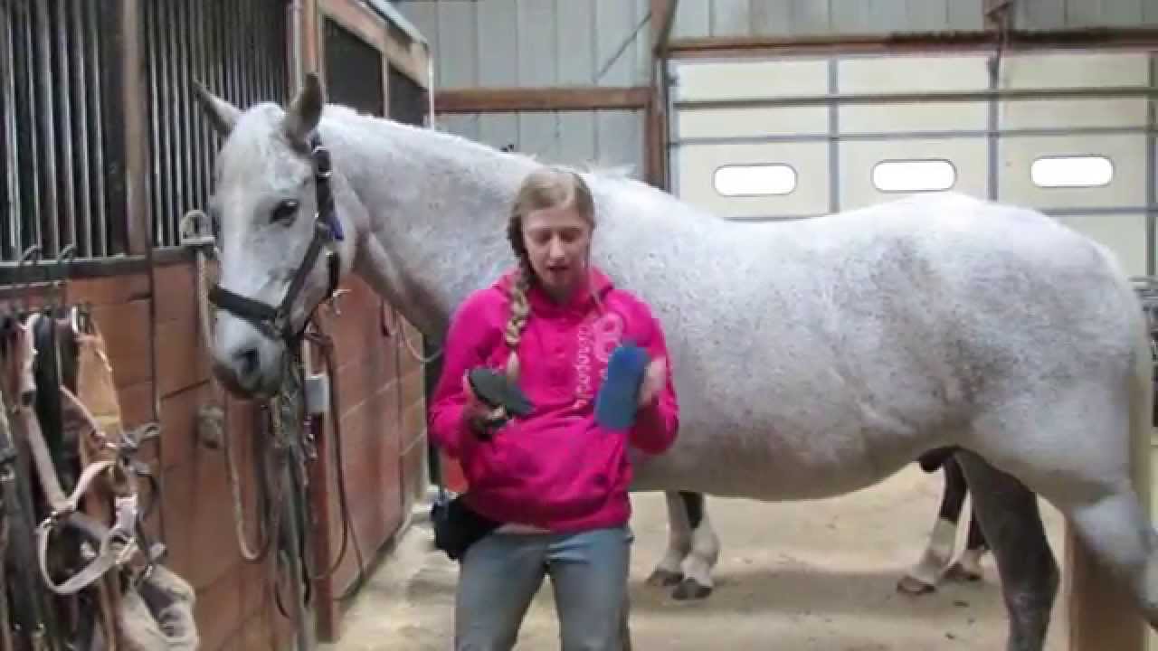 How to Groom a Horse