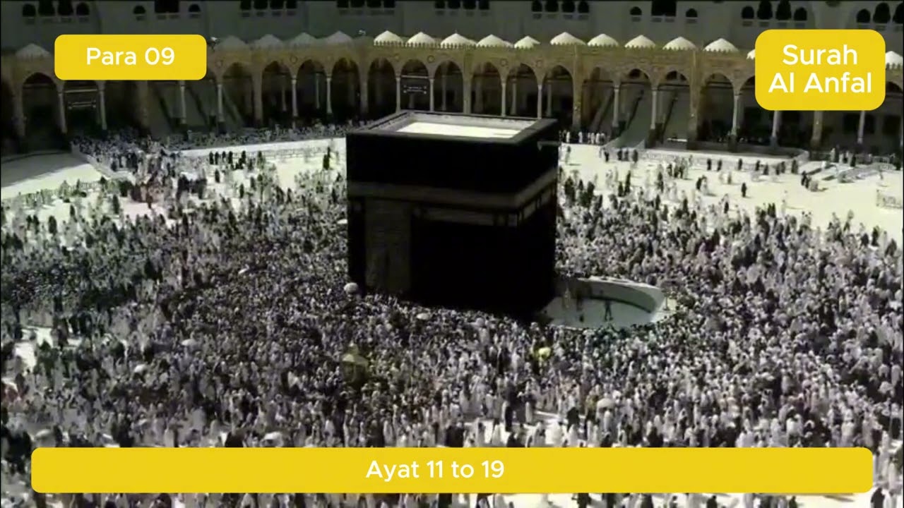 Quran Tilawat Episode 83 || quran || quran recitation || Sura Al Anfal || beautiful quran recitation