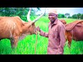 NYANKOLE GUJA HASI MAISHA OFFICIAL VIDEO 4K VIDEO BY MALONGWE STUDIO 