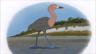 Redish egret walk cycle