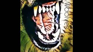 Woolves Rocket Smashing Pumpkins Covertribute