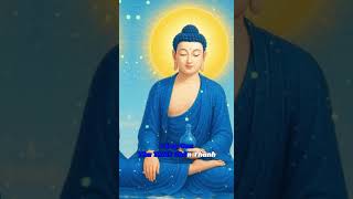 #loiphatday #phatgiao #phatphap #tamhuongphat #phatphapnhiemmau #phattrienbanthan #xuhuongyoutube
