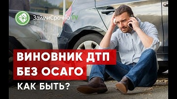 Thumbnail of Виновник ДТП без ОСАГО. Как быть?