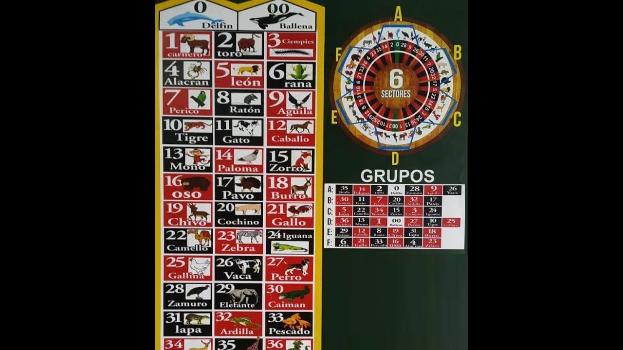 Imagenes Lotto Activo | datos lotto activo 12 07 17 youtube Imagenes Lotto Activo | datos lotto activo 12 07 17 youtube