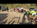 CORRIDA DE CAVALOS - 76º FESTEJO DO SURUMU 2023 PART 3 - RORAIMA