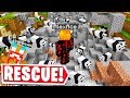 I RESCUED THE PANDA ARMY In LAZARBEAMS MINECRAFT SERVER..