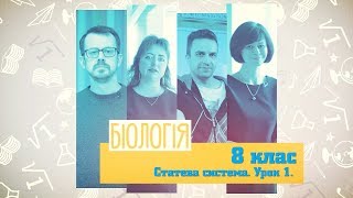 8 класс, 29 мая - Урок онлайн Биология: Половая система. Урок № 1