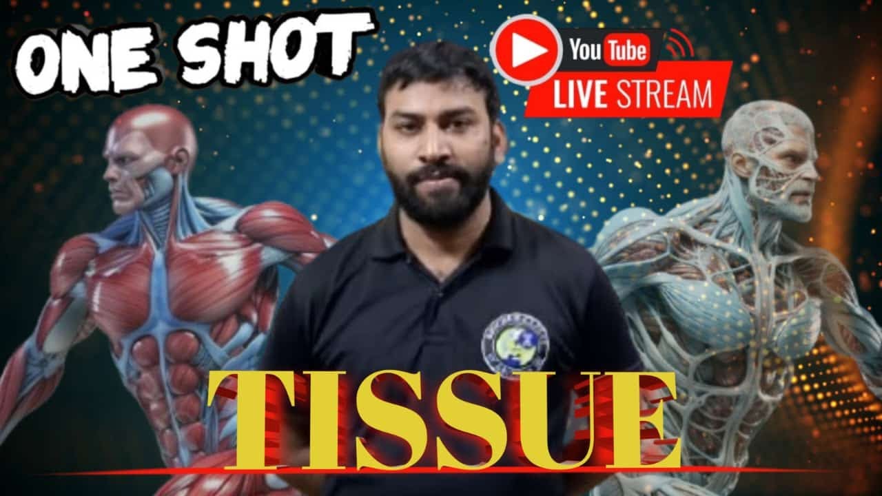 TISSUE | TYPES OF TISSUE| EPITHELIAL TISSUE| CONNECTIVE TISSUE| MUSCLE TISSUE | NERVOU TIE | Biochem