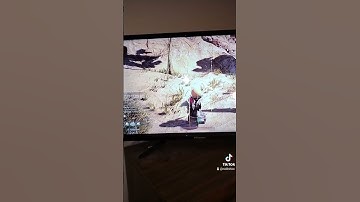 another glitch in bless unleashed