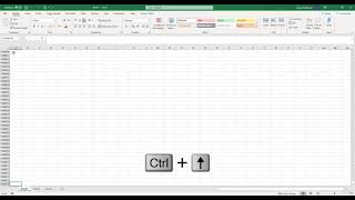 Excel Workbook vs Excel Worksheet Difference.
