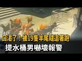 口渴了！ 被19隻羊尾隨追著跑 提水桶男嚇壞報警－民視新聞
